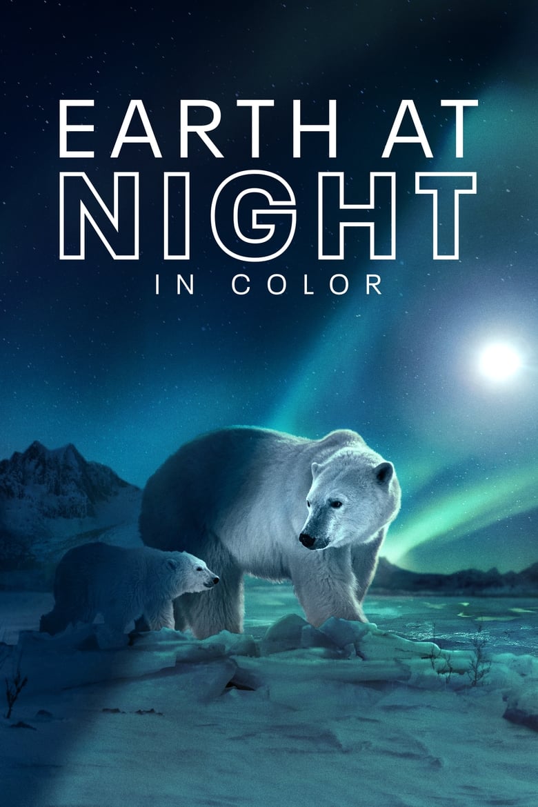 Earth at Night in Color (2021)